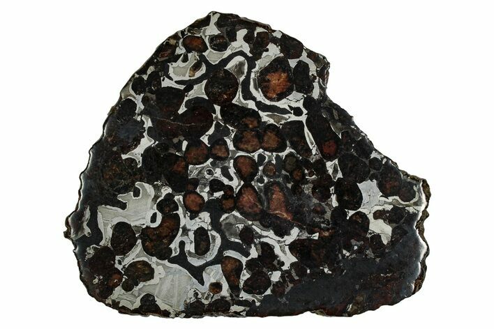 Sericho Pallasite Meteorite ( g) Slice - Kenya #335730